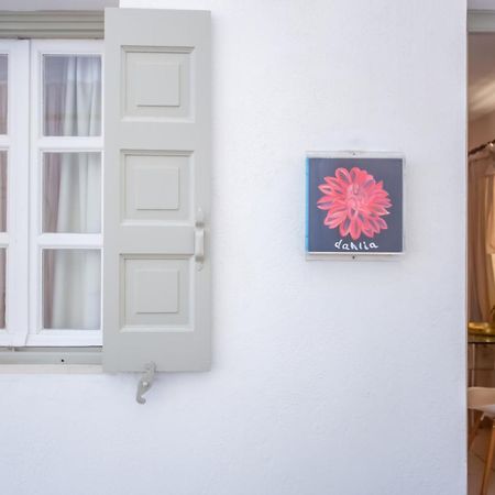 Sing And Blossom Accommodation Mykonos Town Exterior photo
