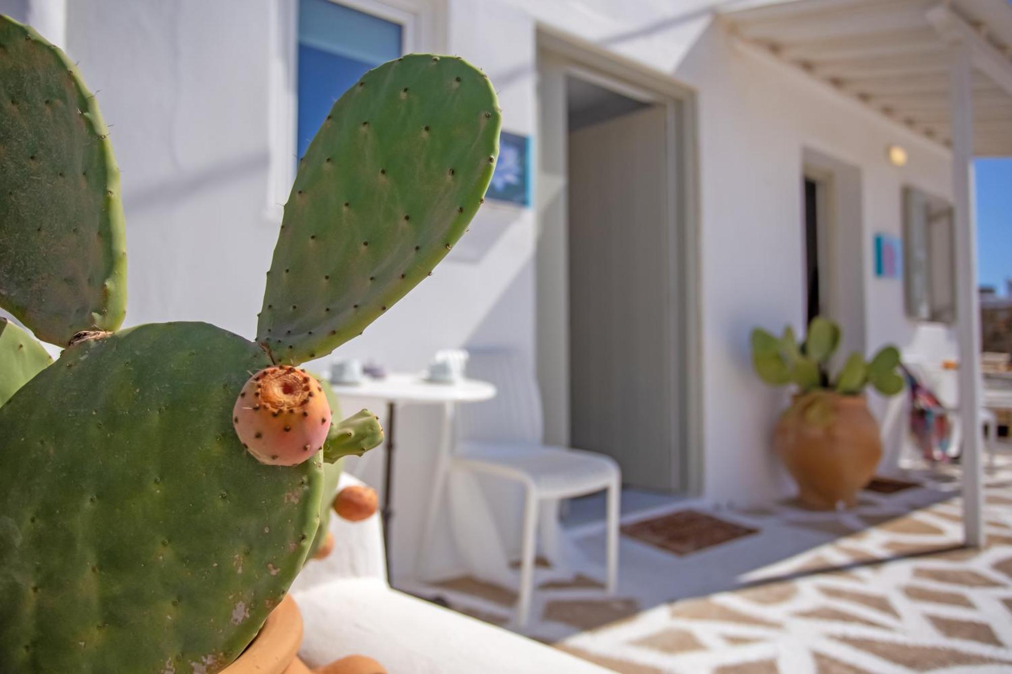 Sing And Blossom Accommodation Mykonos Town Exterior photo